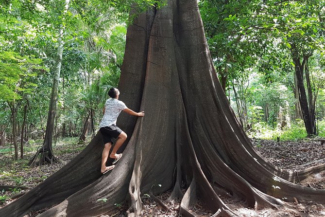 Adventure: 4-Hour Hike in the Amazon Rainforest - Tour Details and Inclusions