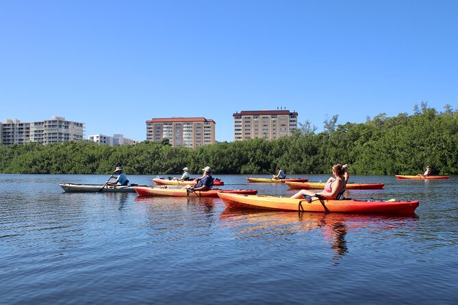 Adventure and Wildlife Watch Kayak Rentals in Sarasota - Flexible Exploration Pace