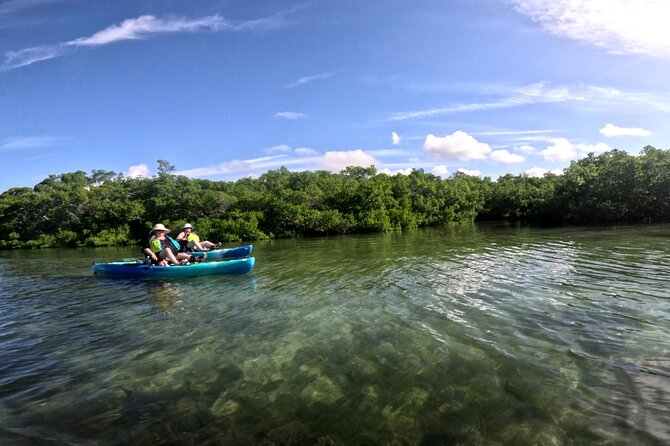 Adventure and Wildlife Watch Kayak Rentals in Sarasota - Traveler Considerations and Accessibility