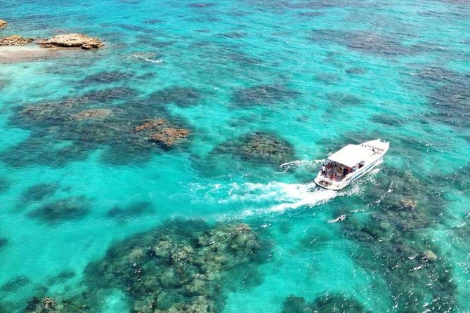 Adventure Antigua - Elis Original Eco Tour - Traveler Reviews and Feedback