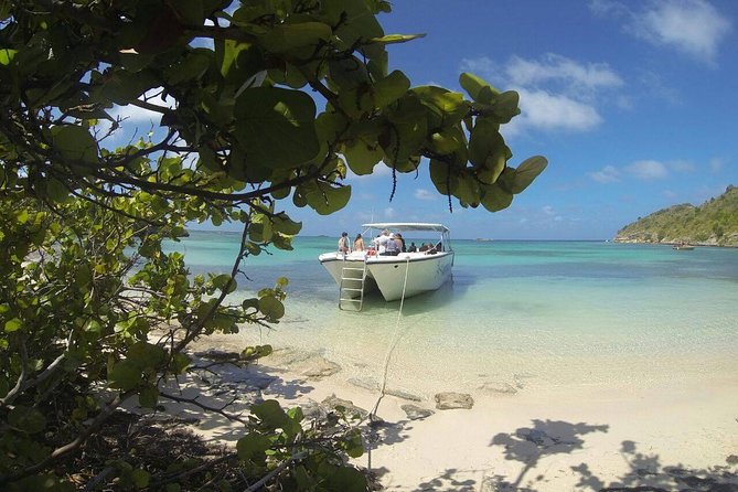 Adventure Antigua - Elis Original Eco Tour - Eco-Friendly Practices