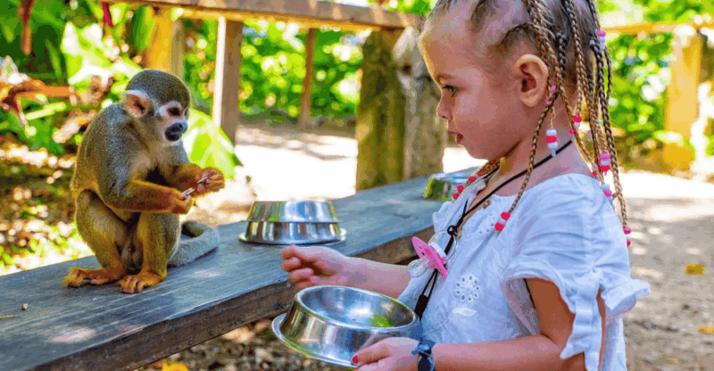 Adventure at Monkey Land Tours Punta Cana Safari With Pickup - Itinerary and Logistics