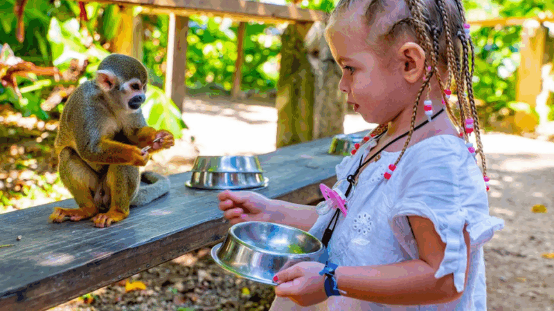 Adventure at Monkey Land Tours Punta Cana Safari With Pickup - Pickup Locations and Transportation