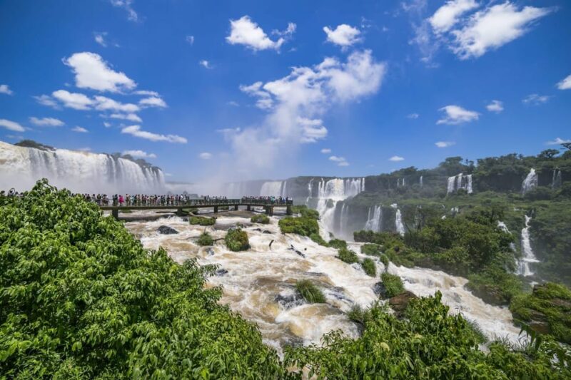 Adventure at the Waterfalls Brazil + Bird Park - Guided Tour - Bird Species Observation