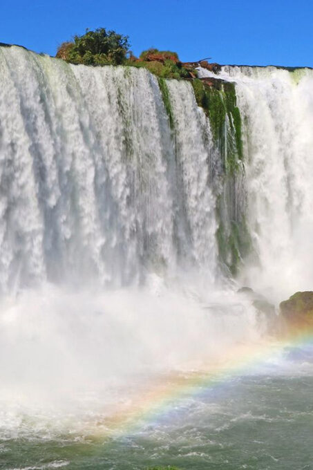 Adventure at the Waterfalls Brazil + Bird Park - Guided Tour - Additional Information