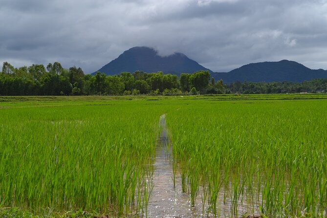 Adventure Bike Tour From Hoi an - Engaging With Locals