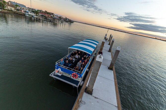 Adventure Boat Tours - One Hour Dolphin/Eco/History/Sightseeing Boat Tour - Flexible Cancellation Policy