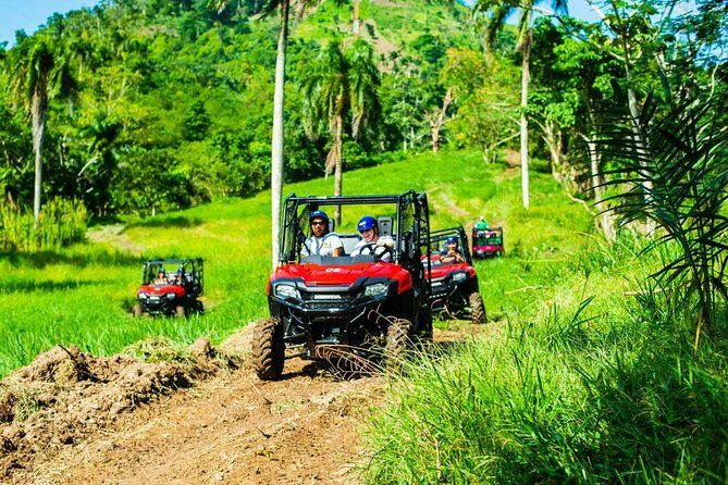 Adventure Bundle: Monkeyland, Ziplines & Buggies Punta Cana - An Overview of the Experience