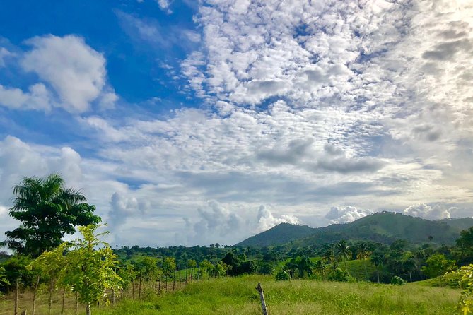 Adventure Bundle: Monkeyland, Ziplines & Buggies Punta Cana - Zipline Experience