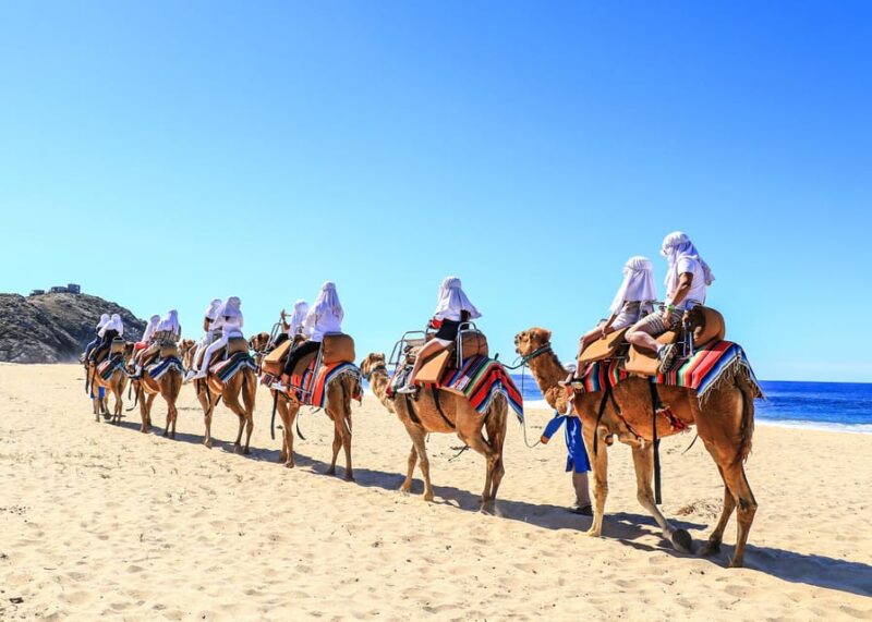 Adventure Combo: Cabo Arch + Camels in the Desert and Food - Inclusions and Additional Information