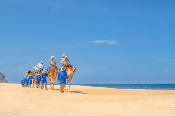 Adventure Combo: Cabo Arch + Camels in the Desert and Food - Camel Ride on Pristine Beach