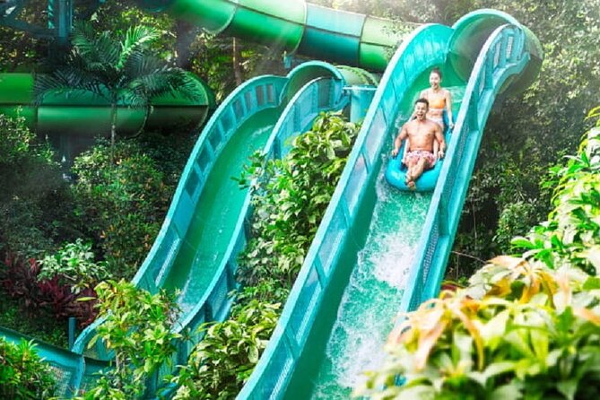 Adventure Cove Waterpark + 1 Way Transfer - Park Highlights