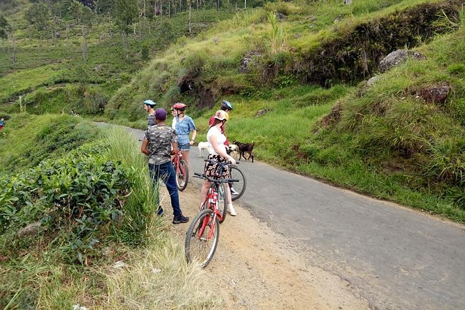 Adventure Cycling in Ella - Meeting and Pick-up Details
