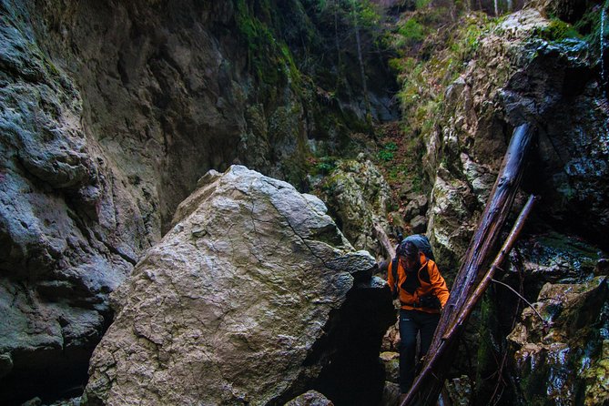 Adventure Day Trip From Iasi | Hiking in the Carpathian Mountains - Guided Hiking Experience