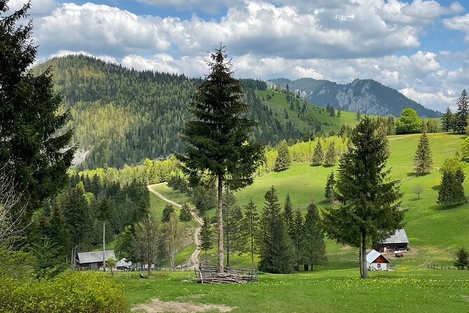 Adventure Day Trip From Iasi | Hiking in the Carpathian Mountains - Safety and Insurance