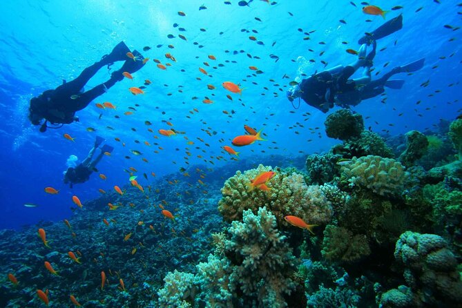 Adventure Diving in San Andres for Beginners 4 Hours - Key Points