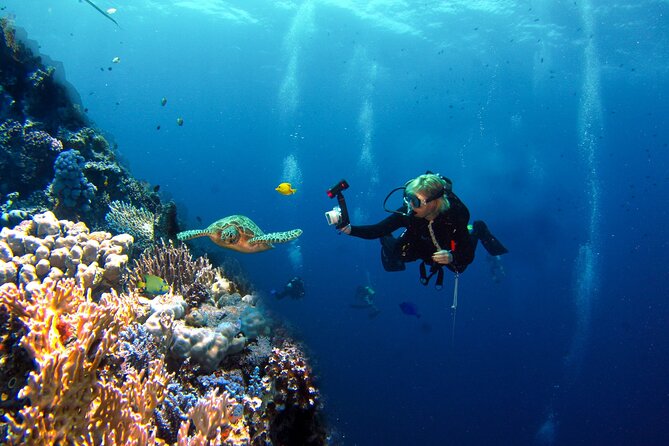 Adventure Diving in San Andres for Beginners 4 Hours - Benefits of Beginner Diving