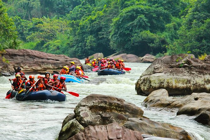 Adventure Experience A in Kitulgala - Inclusions and Logistics