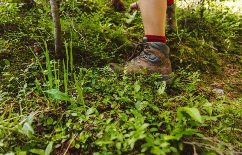 Adventure Experience D in Kitulgala - Location and Access