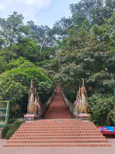 Adventure Hike in Doi Suthep-Pui National Park - Key Points
