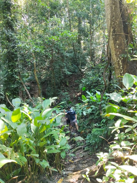 Adventure Hike in Doi Suthep-Pui National Park - Visiting the Hill Tribe Village