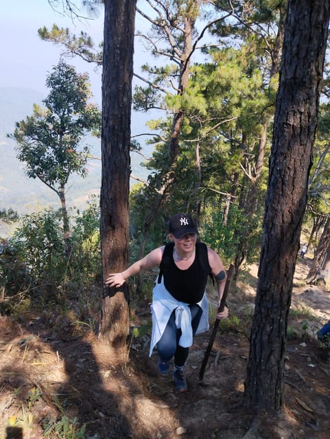 Adventure Hike in Doi Suthep-Pui National Park - Hiking to Doi Pui Peak