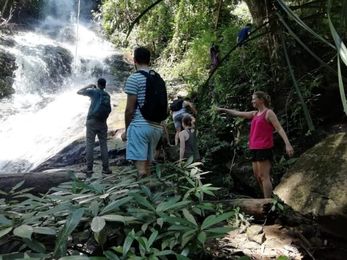 Adventure Hike in Doi Suthep-Pui National Park - Frequently Asked Questions