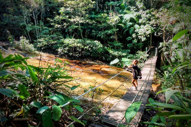 Adventure & History at Tijuca Forest (Small Group or Private) - Tour Details and Inclusions