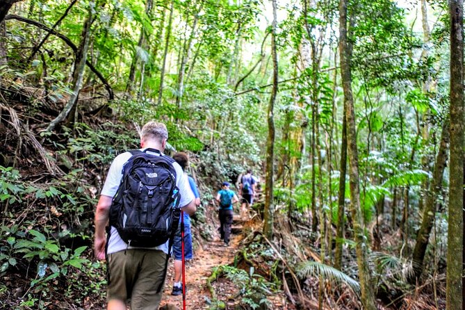 Adventure & History at Tijuca Forest (Small Group or Private) - Requirements and Recommendations