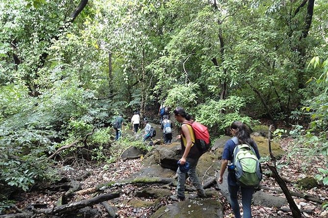 Adventure Hunting - Inclusions and Offerings
