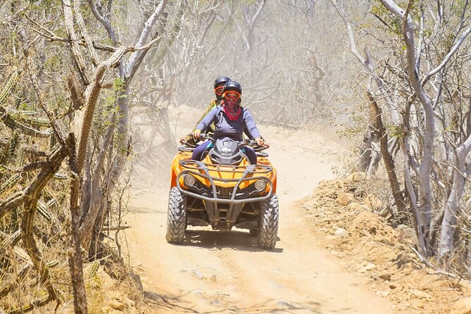 Adventure in Los Cabos Margaritas Beach in Atv/Utv Desert Tour - Customer Feedback and Experiences