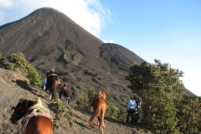 Adventure in Pacaya Volcano From Antigua Guatemala - Inclusions and Highlights