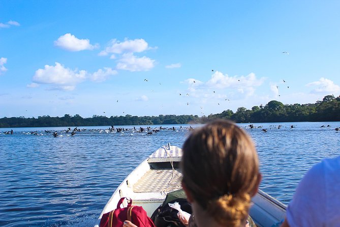 Adventure in the Amazon Jungle 5d/4n at Amazon Mamori Lodge - Itinerary Breakdown