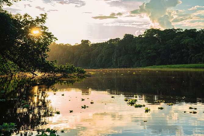 Adventure in the Amazon Jungle 5d/4n at Amazon Mamori Lodge - Accommodations and Amenities