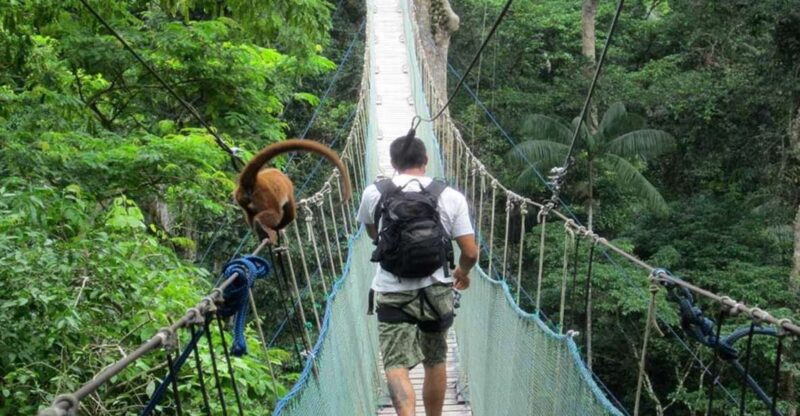Adventure in the Jungle | Zipline, Canopy, Kayak| - Inclusions
