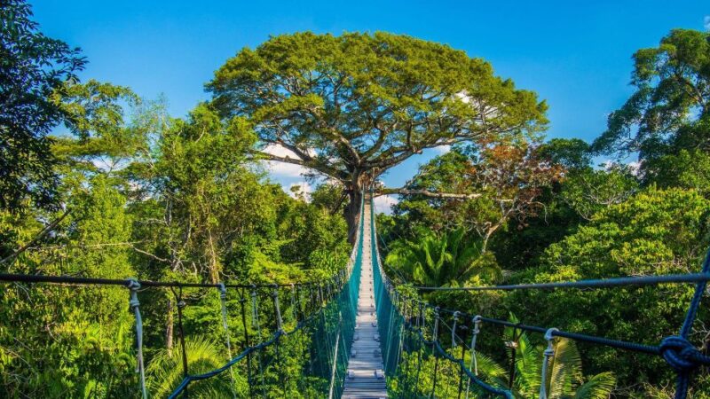Adventure in the Jungle | Zipline, Canopy, Kayak| - Cancellation and Payment Policy