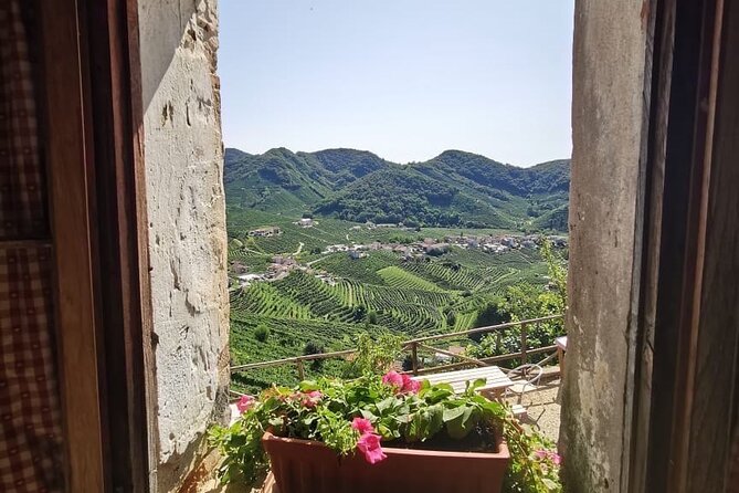 Adventure in the Prosecco Hills - Discovering Unique Family Wineries