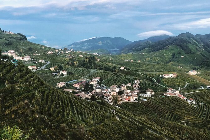 Adventure in the Prosecco Hills - Traveler Feedback and Highlights