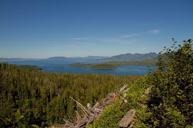 Adventure Kart Expedition- Ketchikan, AK - Kart Expedition Inclusions
