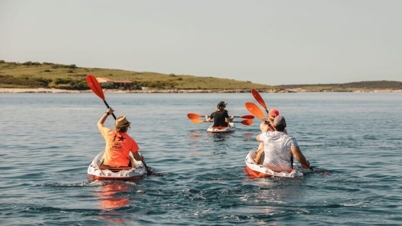 Adventure Kayak Tour Seagulls Rocks - Meeting Point and Directions