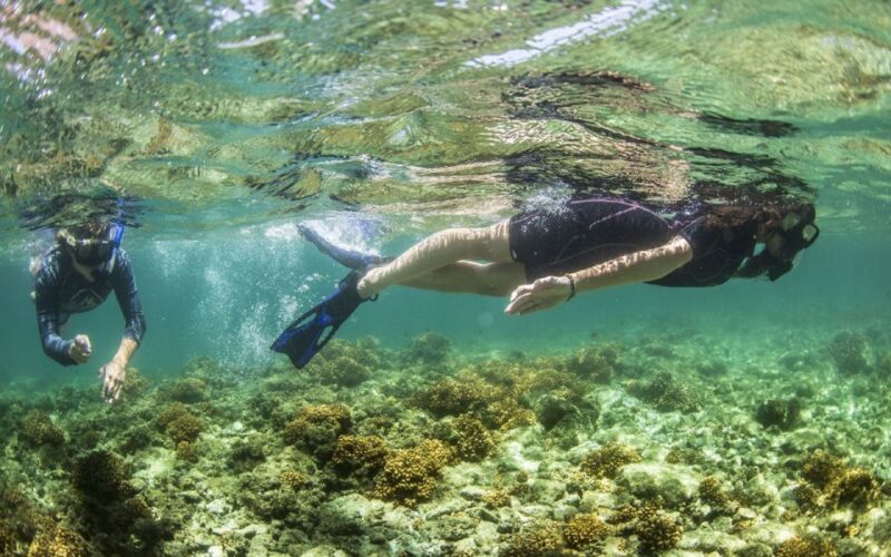 Adventure on Balandra Beach: Sea Lions & Snorkeling Tour - What to Bring and Not Allowed Items