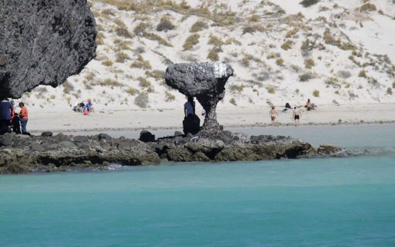Adventure on Balandra Beach: Sea Lions & Snorkeling Tour - Important Information and Conditions