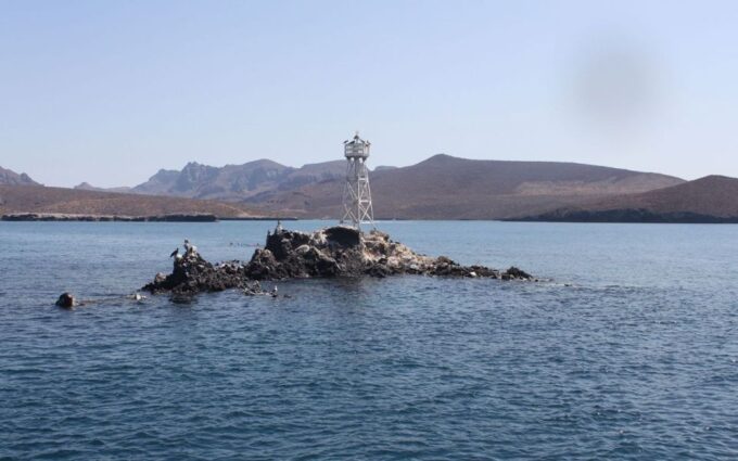 Adventure on Balandra Beach: Sea Lions & Snorkeling Tour - Encountering Sea Lions