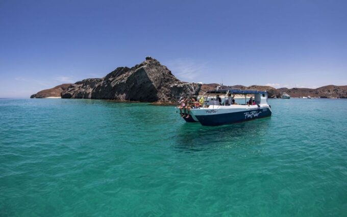 Adventure on Balandra Beach: Sea Lions & Snorkeling Tour - Snorkeling the Coral Reefs