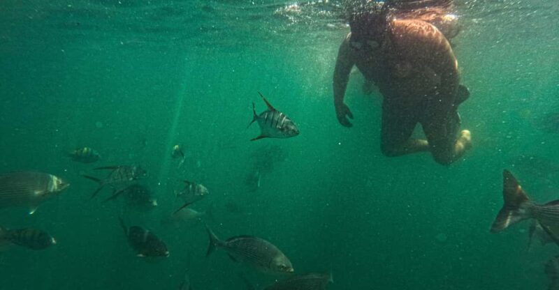 Adventure Park and Snorkeling Colomitos/Majahuitas Beach - Key Points