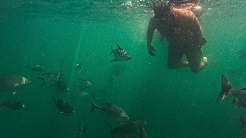 Adventure Park and Snorkeling Colomitos/Majahuitas Beach - Itinerary and Locations