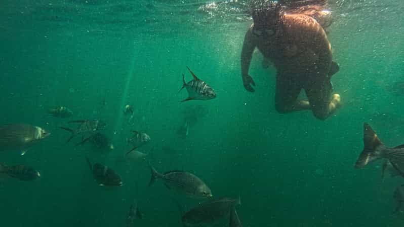 Adventure Park and Snorkeling Colomitos/Majahuitas Beach - Highlights and Activities