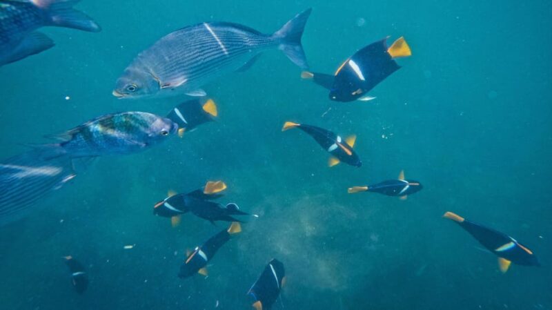 Adventure Park and Snorkeling Colomitos/Majahuitas Beach - What to Bring
