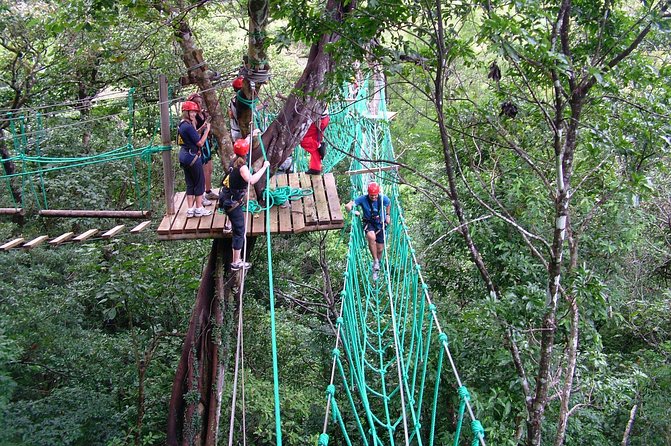 Adventure Park High Ropes Course - Activity Overview