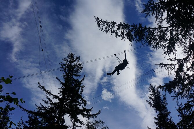 Adventure Parks & Zipline Tour - Sweeping Views and Natural Setting